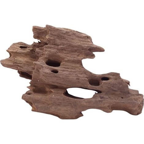 M Honey Comb Wurzel Nr.5182 Holz Deko Aquascaping