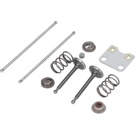 CCYKXA Couvercle de Protection de Plaque de Soupape pour Ensemble de Ressorts de Soupape de Tondeuse à Gazon pour 14791-ZE1-010 pour GX160 GX200 5.5HP 6.5HP Accessoires de Remplacement de Tondeuse à G