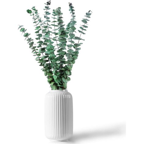 12 piezas de flores de eucalipto secas naturales de 45 cm para arreglos florales de bodas y decoración del hogar.