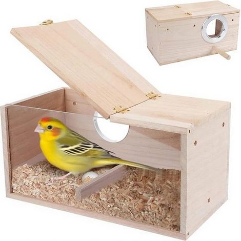 Nido per pappagalli e parrocchetti con coperchio incernierato, casetta per uccelli in legno massello, design trasparente per uccelli esotici e ornamentali (19,5 x 12 x 12 (1/5)