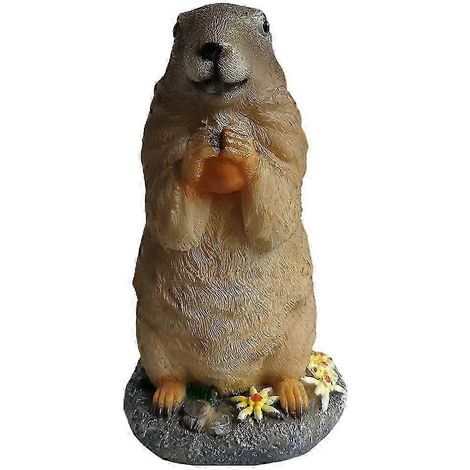 Statue d'animaux en résine vivante, fabriquée à la main, sculpture de jardin, ornement de pelouse-Marmot (1/5)