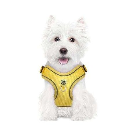 Pettorina per cani con guinzaglio, riflettente, regolabile, morbida, taglia XS, gialla