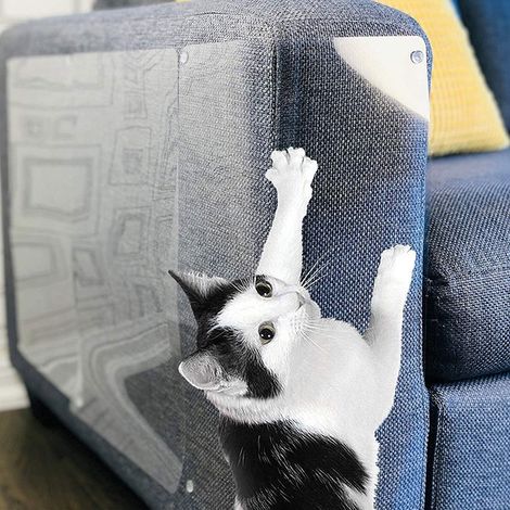Protections anti-griffures pour chats, 2 pièces, protections anti-griffures auto-adhésives (1/5)