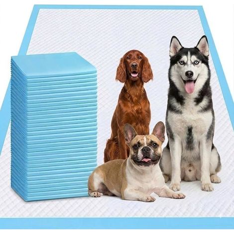 Lot De 40 Tapis Hygiéniques Pour Chiots Xxxxl-78,7X119,4Cm-Extra Large-Anti-Fuites Et Super Absorbants-Tapis D'Apprentissage[IN12] (1/5)