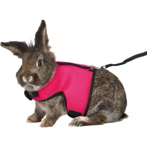 Sangle lapin réglable avec corde de traction élastique (L, rouge)