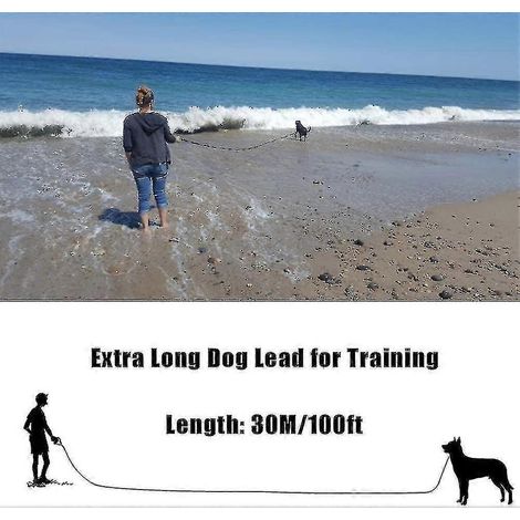 Laisse de dressage pour chien de 30 m de long, laisse extra longue pour chien Aikeco (1/3)