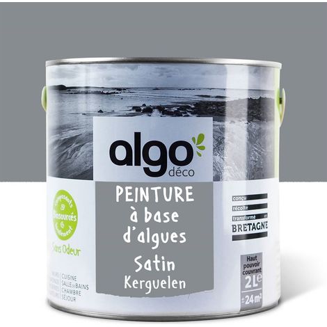 Peinture écologique Algo - Satin - Gris Kerguelen - 2L (1/5)