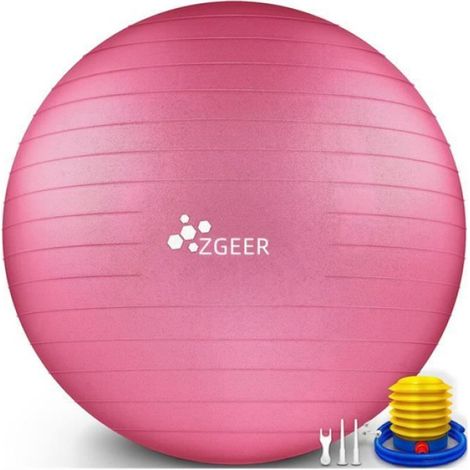 Ballon D Exercice - 65 cm - Antidérapant Anticlacement - Pour Gymnastique Fitness Yoga Grossesse - 1 Piece (1/4)