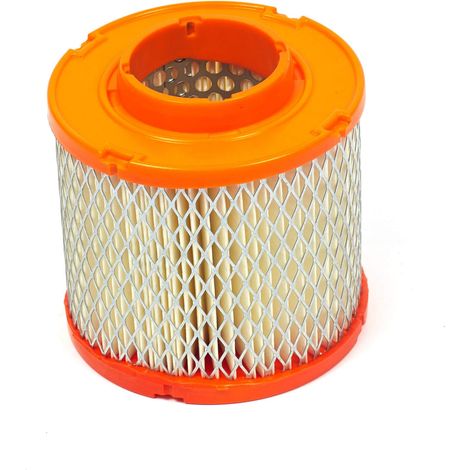 Filtro aria BRIGGS ET STRATTON 845090 (1/4)