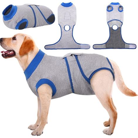 Combinaison de Récupération pour Chien, Protection Anti-Léchage pour Plaie Abdominale de la Peau, Chiot Chemise Après Chirurgie, Col en E Alternative pour Petite Moyenne Grande Chien (1/3)