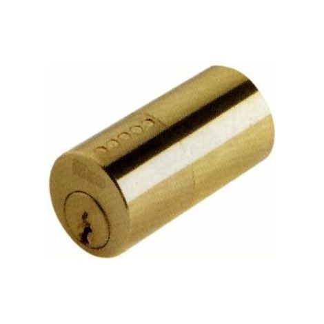 Cilindro a Canotto Fisso Iseo Art. 852 507 Misura 50 mm con 3 Chiavi (1/2)
