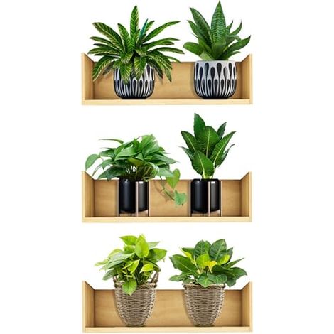 Autocollant mural 3D amovible en PVC Bonsaï Décoration murale créative Plantes Vertes Florales Arbre BonsaïStickers Muraux Plante Tropical Autocollants Décoration Murale pour Salon Chambre Cuisine (1/5)