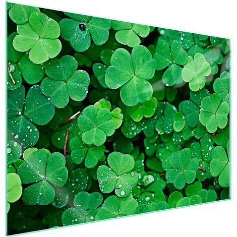 Glasschutzplatte für den Herd 70x52 Blatt (1/5)