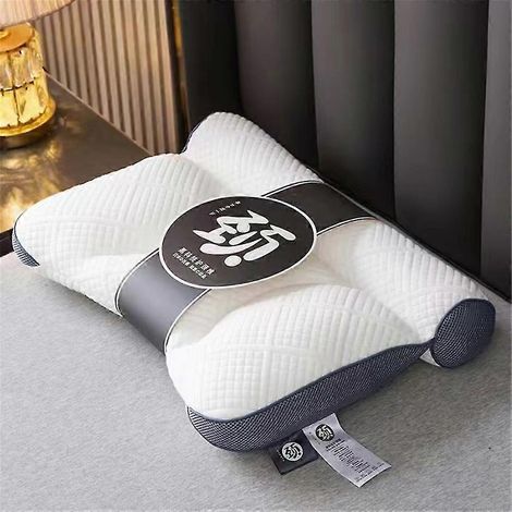 Oreiller ergonomique en duvet d'oie, oreiller de soutien cervical améliorant le sommeil avec duvet d'oie-AquaForge (1/5)