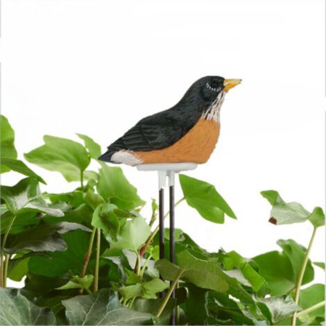 Détecteur d'humidité, mini détecteur intelligent d'humidité du sol, adapté aux fleurs et plantes en pot, forme d'oiseau, 90 x 180 mm, noir (1/5)