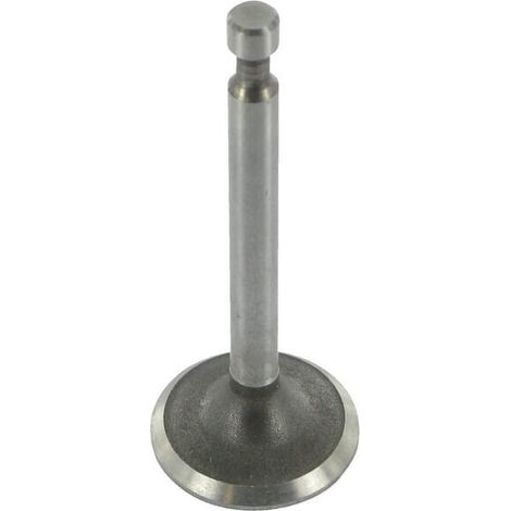 Soupape d'admission BRIGGS ET STRATTON 845712