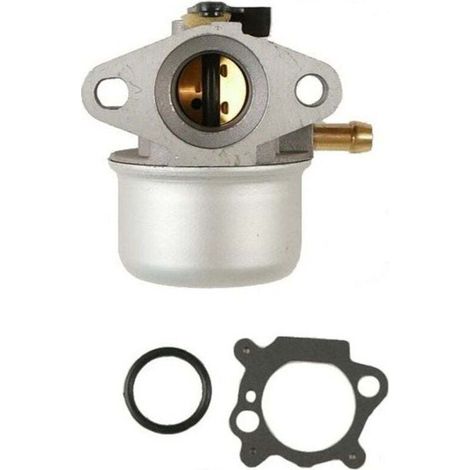 Carburateur moteur Briggs et Stratton - 498170 (1/4)