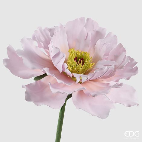 EDG Enzo De Gasperi Decoro Peonia Jumbo H 65 Cm D 65 Cm Lilac