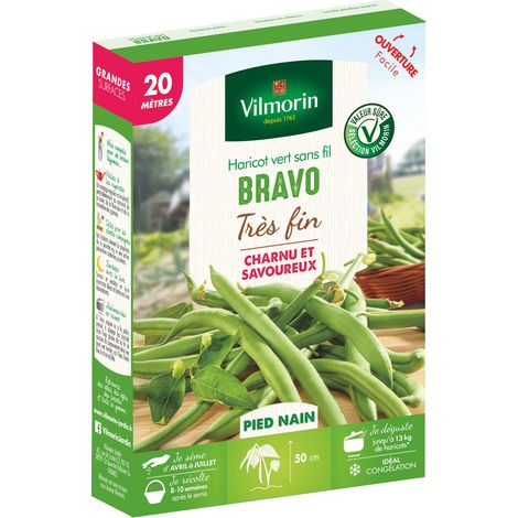 Haricot Nain Vert Bravo - 20 m Vilmorin (1/2)