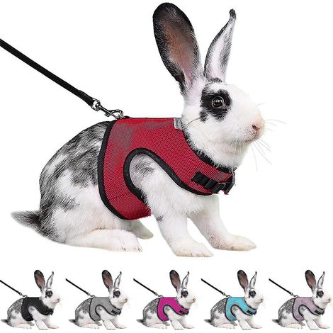 Harnais pour lapin, furet, rat et hamster, confortable et réglable, avec laisse et gilet en maille douce - Rose L (1/4)