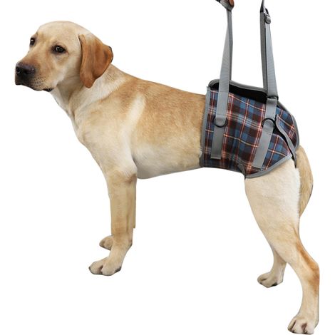 Harnais de levage pour chien, ceinture auxiliaire respirante et réglable professionnelle, sangle d'assistance pour handicapés, très âgés, jambe arrière à carreaux bleus M (12,5 à 20 kg / 27,6 à 44,1 l (1/5)