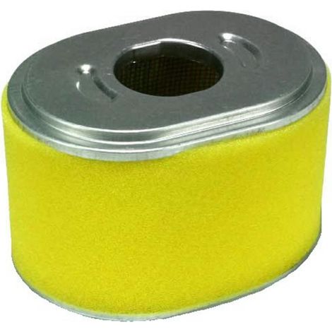 Filtro aria motore 165F-3 motozappe motocoltivatore GGP STIGA 118550496/0 310811