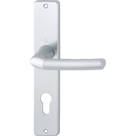 Jeu de garniture de porte longue Birm.1117/202SP Alu.F1 PZ 72mm DIN G/D (1/5)