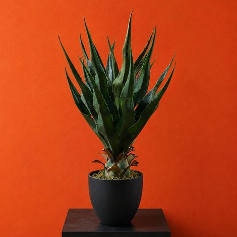 70cm Agave Tropical Yucca Artificial Premium (1/4)