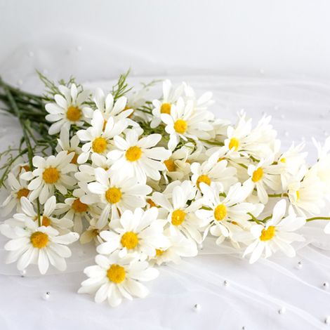 Petit bouquet de marguerites, camomille, décoration de salon, fleurs séchées artificielles, chrysanthème blanc frais et élégant. (1/5)