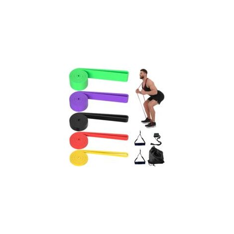 5 Tailles Bandes Élastique Musculation, Bande de Resistance Traction Latex, Elastiques de Fitness avec Poignées Ancrage de Porte et Sac de Transport, pour Fitness, Yoga, d'Étirement, Pilate (1/5)