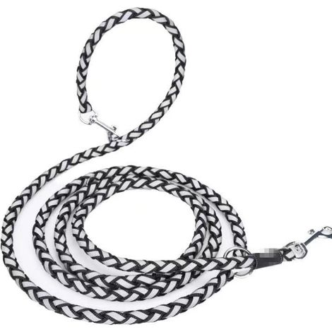 2 Pièces Laisse Chien Corde, Laisse pour Chien en Nylon et des Fils réfléchissants, 2,5 m Noire - Laisses Classiques Laisses et de Dressage (1/5)