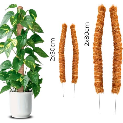 Juego de 4 postes de soporte para plantas de la marca Coke (2 de 50 cm + 2 de 80 cm) (1/5)