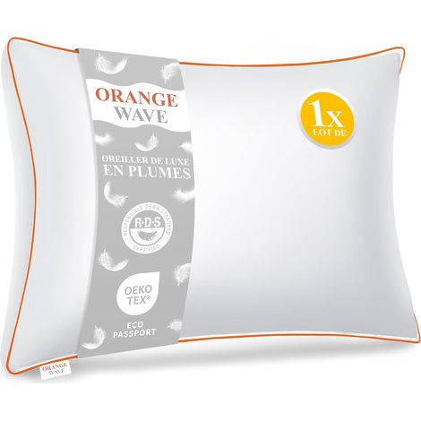 Oreiller Plume 50x70 en Duvet Oreillers Moelleux Coussins de Luxe (1/5)
