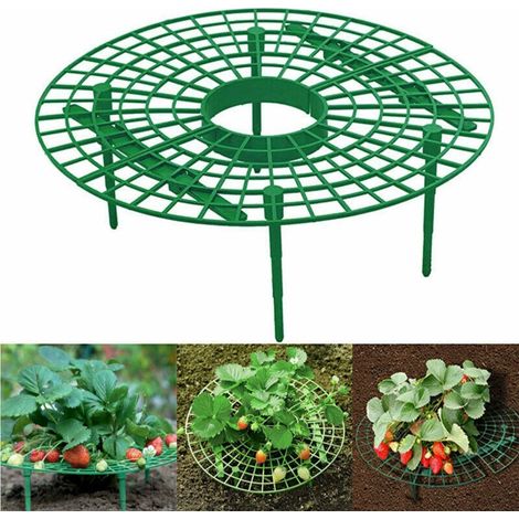 Supports pour Fraisiers en Pot Anneaux de Soutien pour Fruits et Plantes Grimpantes Jardin Balcon 2 Pièces (1/4)