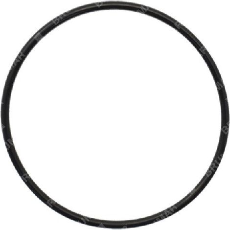 O-ring (s50) per tagliasiepi KAAZ COMPATIBILE - 028421