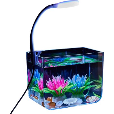 1 aquarium, Polystyrène, Lampe de serrage 3W, Transparent, conception carré, Salon, Bureau (1/5)