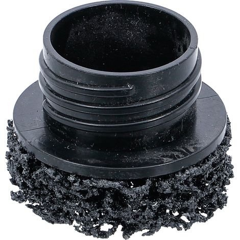 BGS 74450-2 Ersatz-Schleifscheibe, für Art. 74449, 50 x 13 mm (1/4)