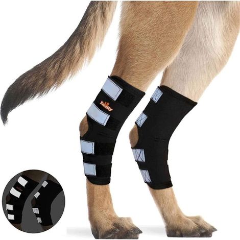 1 paire d'attelles pour pattes arrière de chien, soutien de l'articulation du jarret avec sangles réfléchissantes de sécurité pour la protection contre les entorses et les blessures articulaires - XL (1/5)