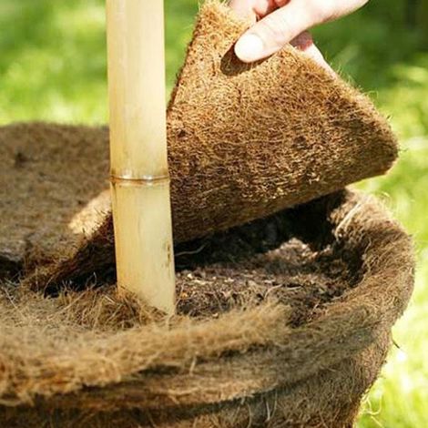 Kokos-Mulchscheibe 45cm Kokosmatte Winterschutz Frostschutz Pflanzenschutz (1/2)