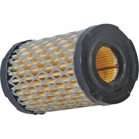Filtro dell'aria Tecumseh 35066