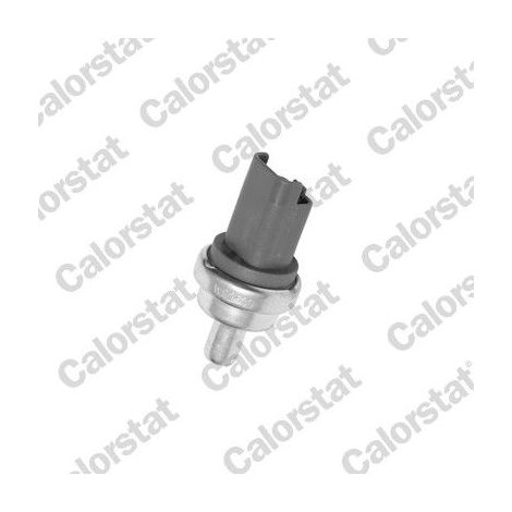 Sonde, température du liquide de refroidissement CALORSTAT by Vernet WS2609 FIAT