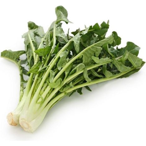 Semi di Cicoria Catalogna per cicoriella piante per orto e giardino