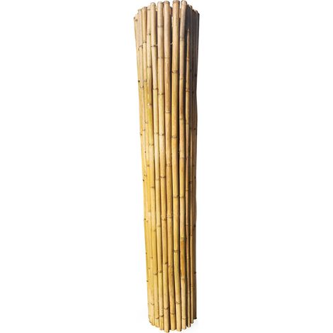 Roll of Bamboo Screen for garden fencing - L200 x W3 x H200 cm - Moso