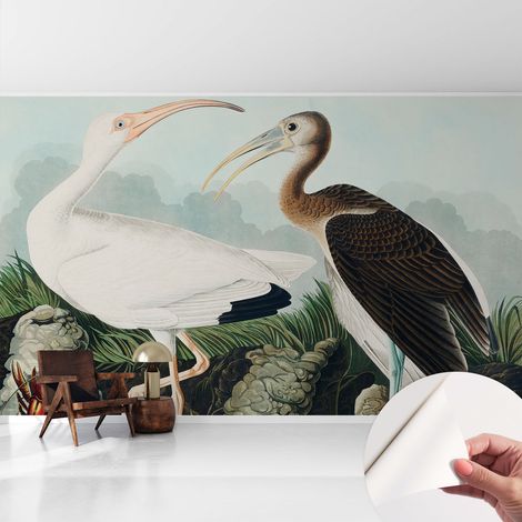 Papier peint autocollant adhésif avec imprimé installation simple qualité excellente sans désordre Couple d'oiseaux 416x254 cm (1/5)