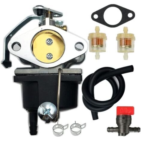 Compatible con generador carburado Coleman Powermate 6875 con motor Tecumseh de 11 HP (1/4)