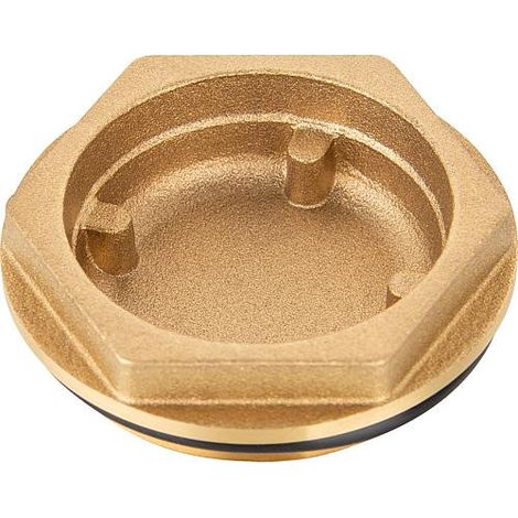 Bouchon G 11/4" pour Termovar LVE laiton