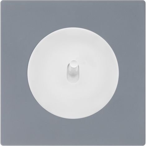 Commande volet roulant blanc - manette blanc glossy DOM + plaque simple gris (1/5)