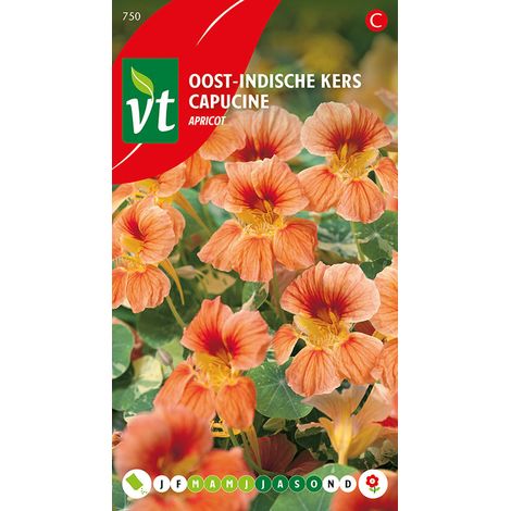 Capucine Apricot - Ca. 3.5 gr (Livraison Gratuite) (1/3)