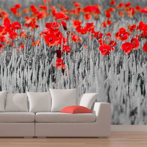 Papier peint coquelicots rouge sur champ noir et blanc - 250 x 193 cm