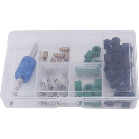 71 pièces Noyau de valve de climatisation R12 R134A Noyau de valve de réfrigération R12 / R134A Vanne maîtresse de climatisation (1/5)